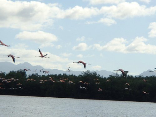 Cienfuegos Province mysticsyren review images