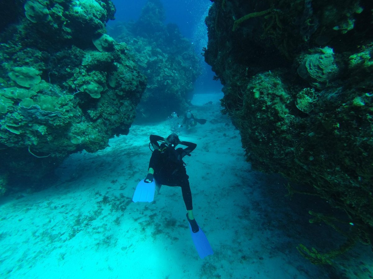 Tulaka Diving (Puerto Morelos) - All You Need to Know BEFORE You Go