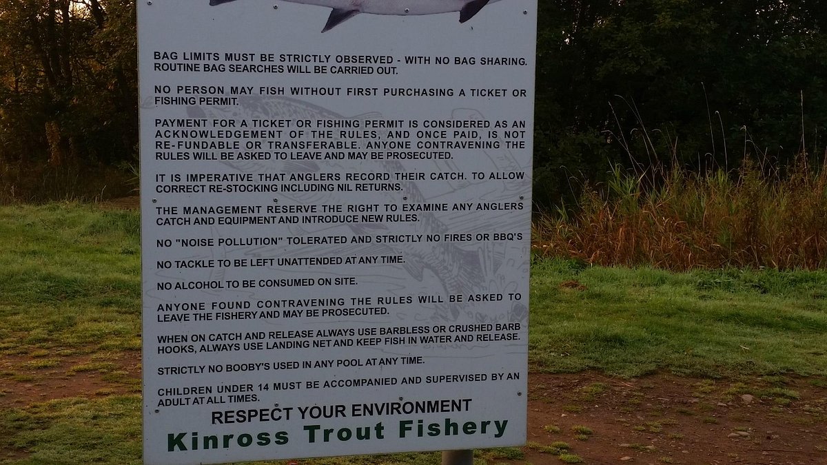Kinross Trout Fishery & Activity Centre - All You Need to Know BEFORE You  Go (2024)