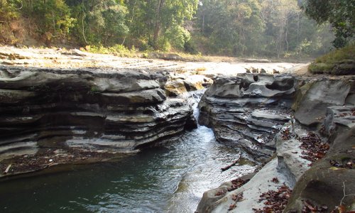 river in the park floats through the stones