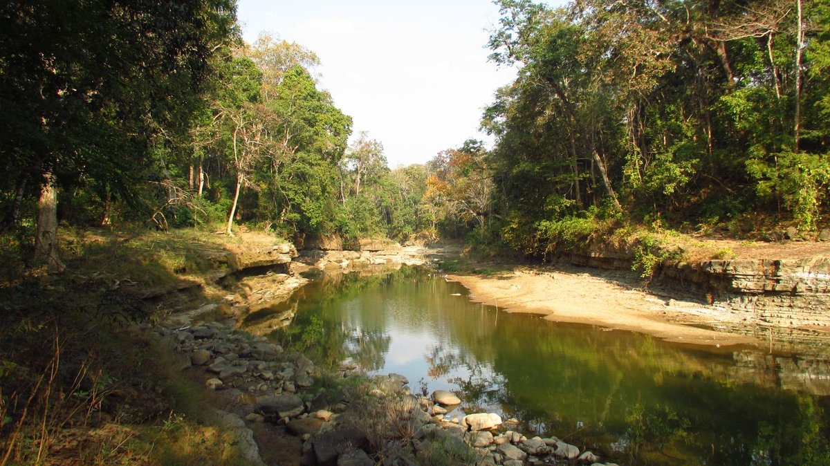 Alaungdaw Kathapa National Park - All You Need to Know BEFORE You Go (2024)