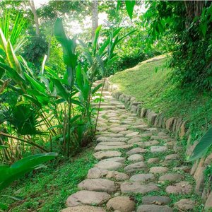 caminata ecoturística