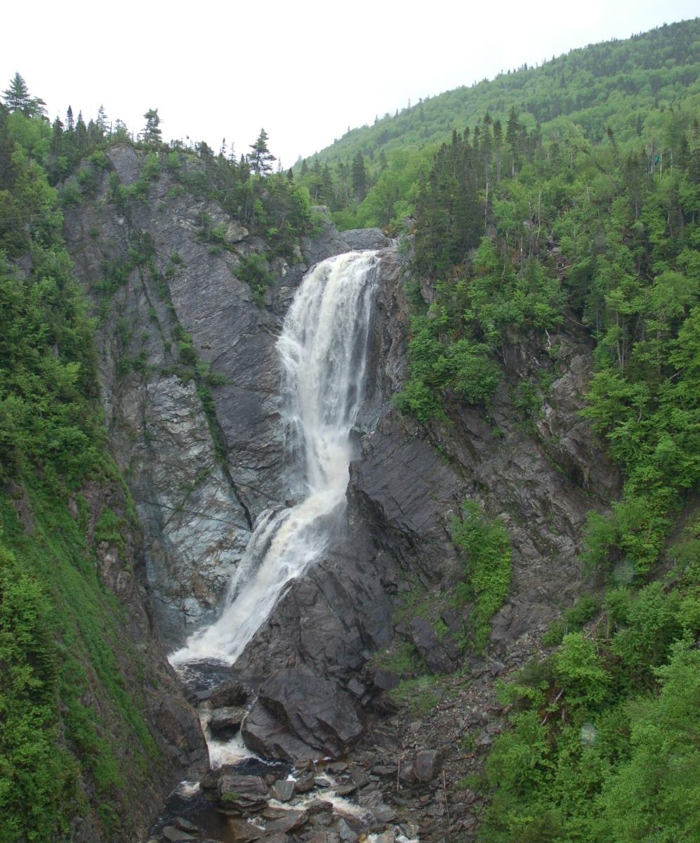 Steady Brook Falls Trail: All You Need to Know BEFORE You Go