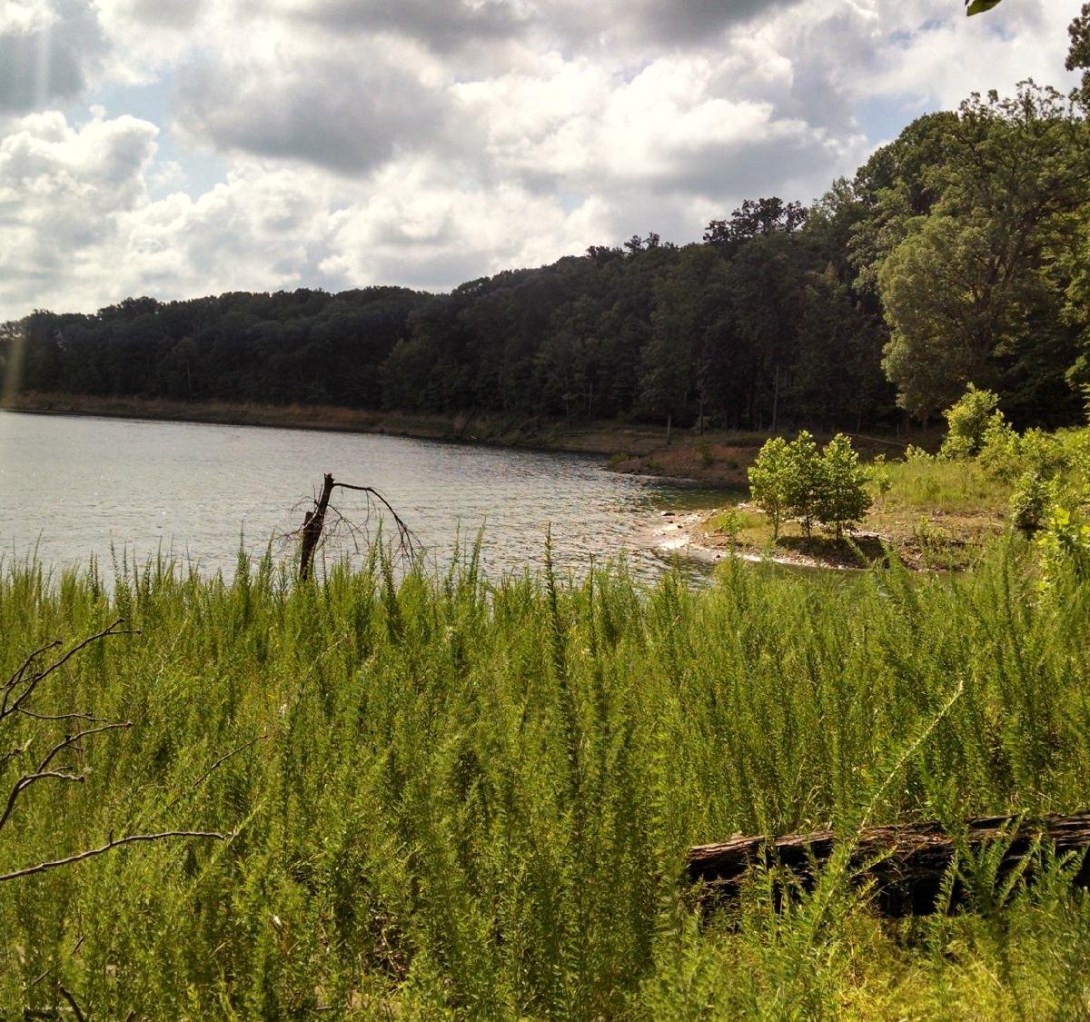 Raccoon Lake State Recreation Area (Rockville, IN) - Review - Tripadvisor