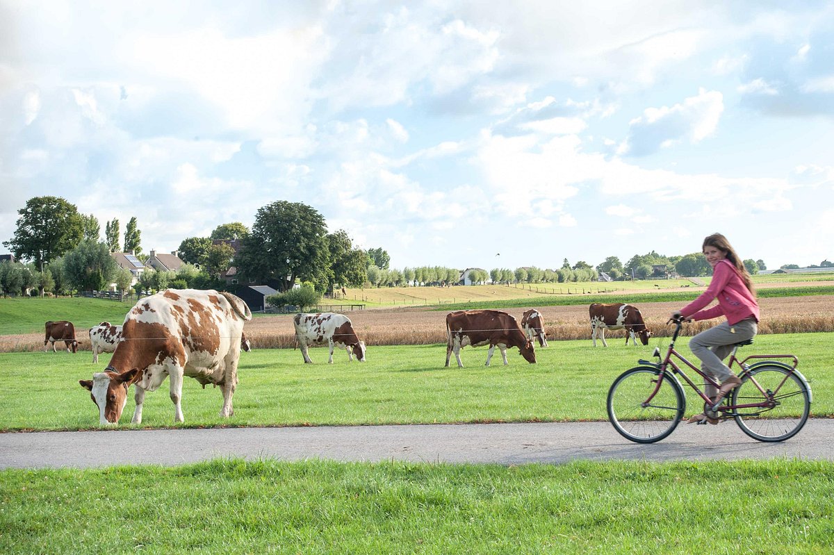 SINT NICOLAASHOEVE (Nieuwveen) - отзывы, фото и сравнение цен - Tripadvisor