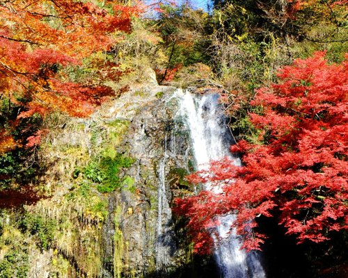 22年 箕面市で絶対外さないおすすめ観光スポットトップ10 定番から穴場まで トリップアドバイザー