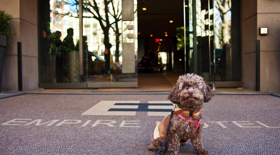 Pet Friendly Empire