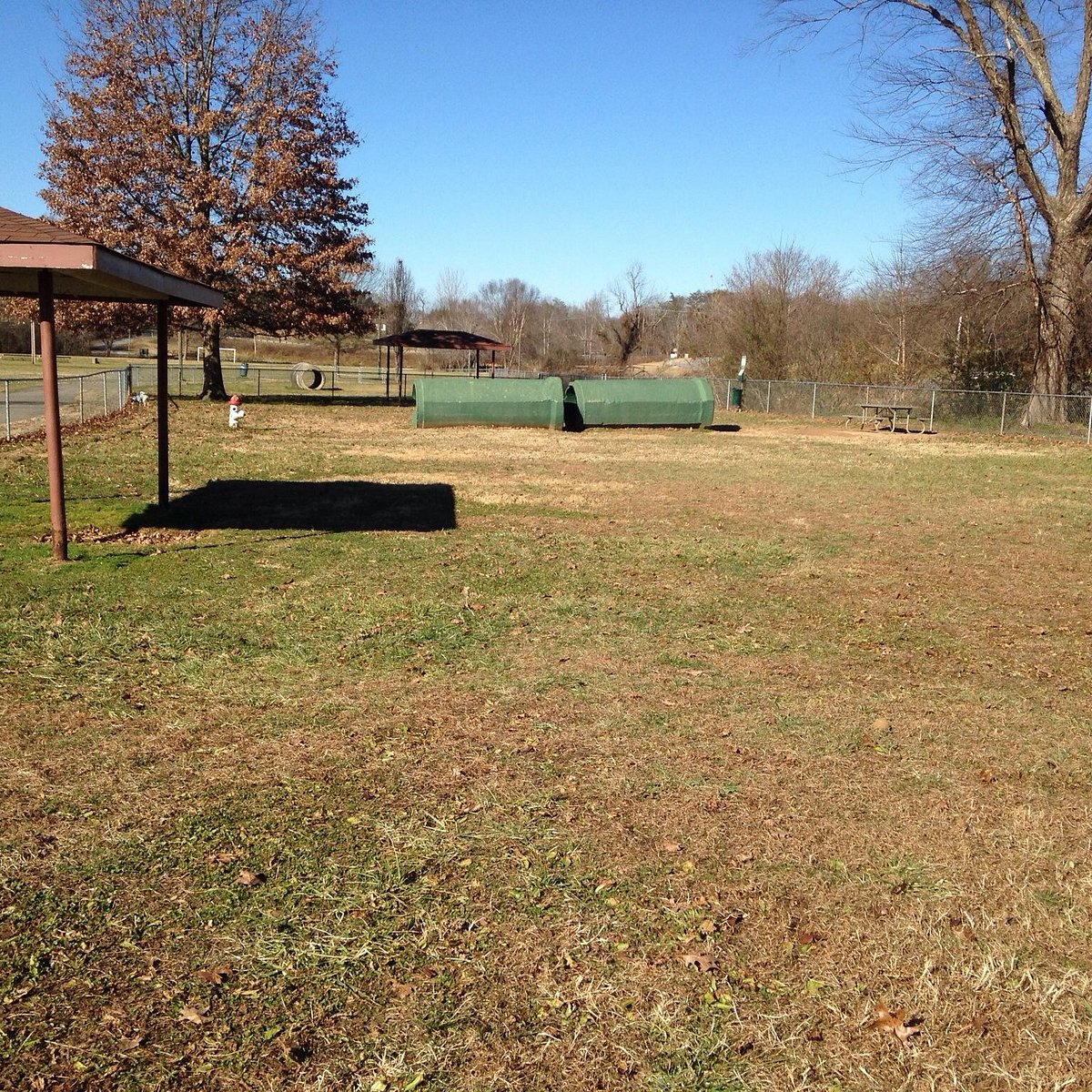 Bark in the Park at Bennett Memorial Park in Bethel, September 24