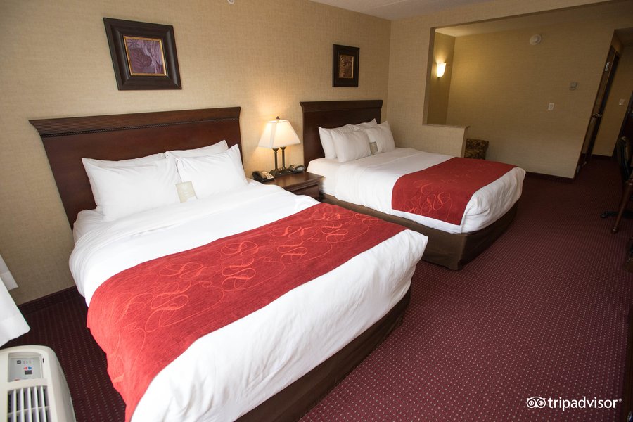 Comfort Suites Lake George Updated 2020 Hotel Reviews Ny Tripadvisor