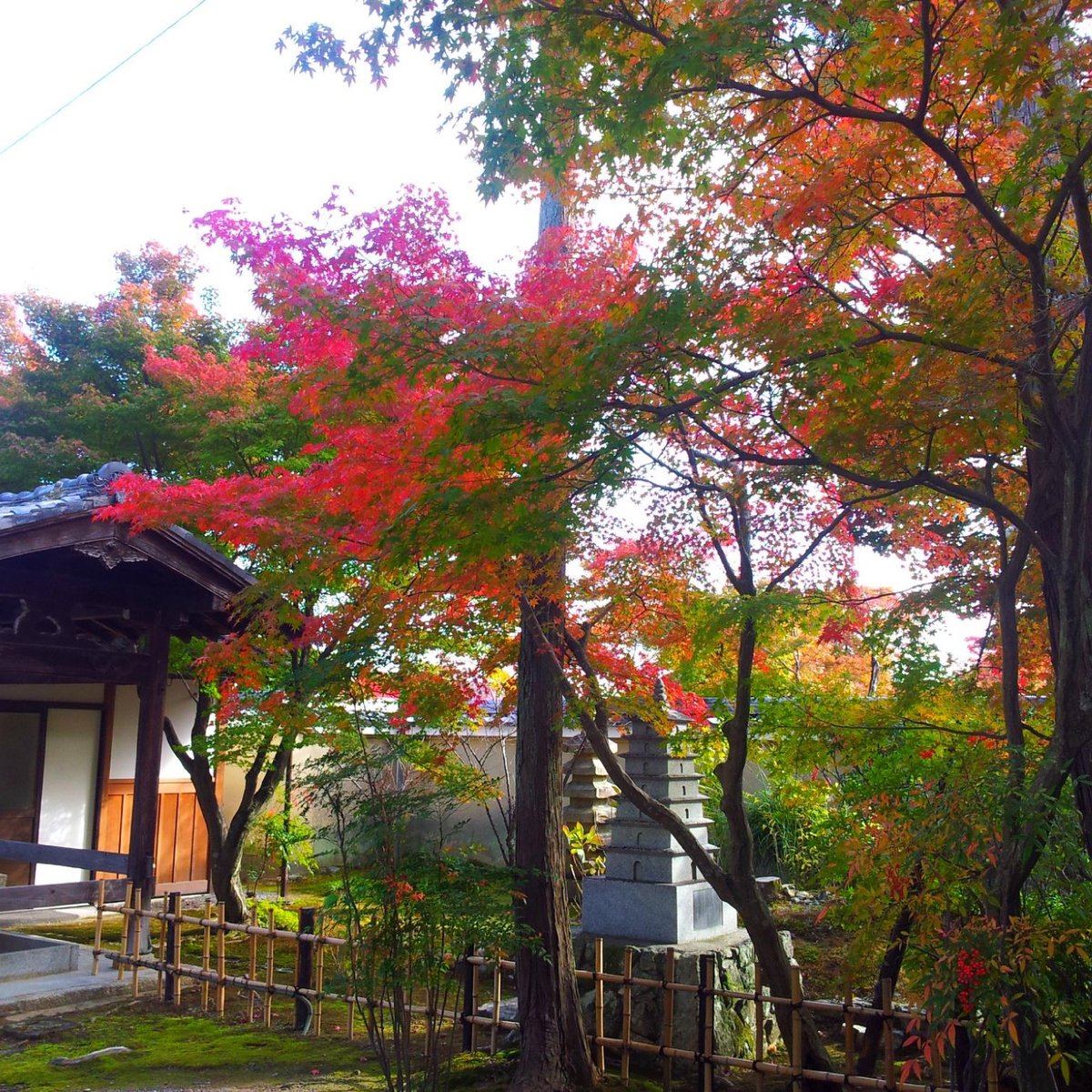 Kogenji Temple, Kyoto