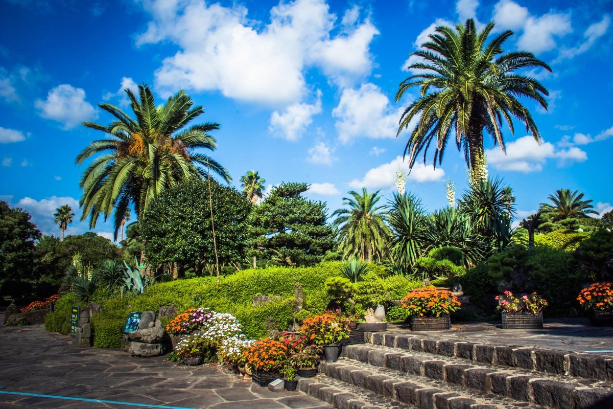 Ilchul Land (Seogwipo) - All You Need to Know BEFORE You Go