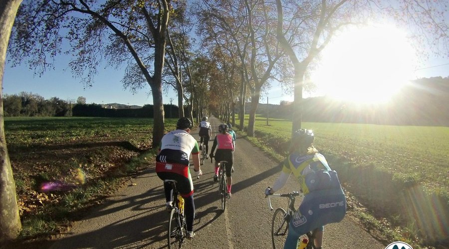 December trainingsstage