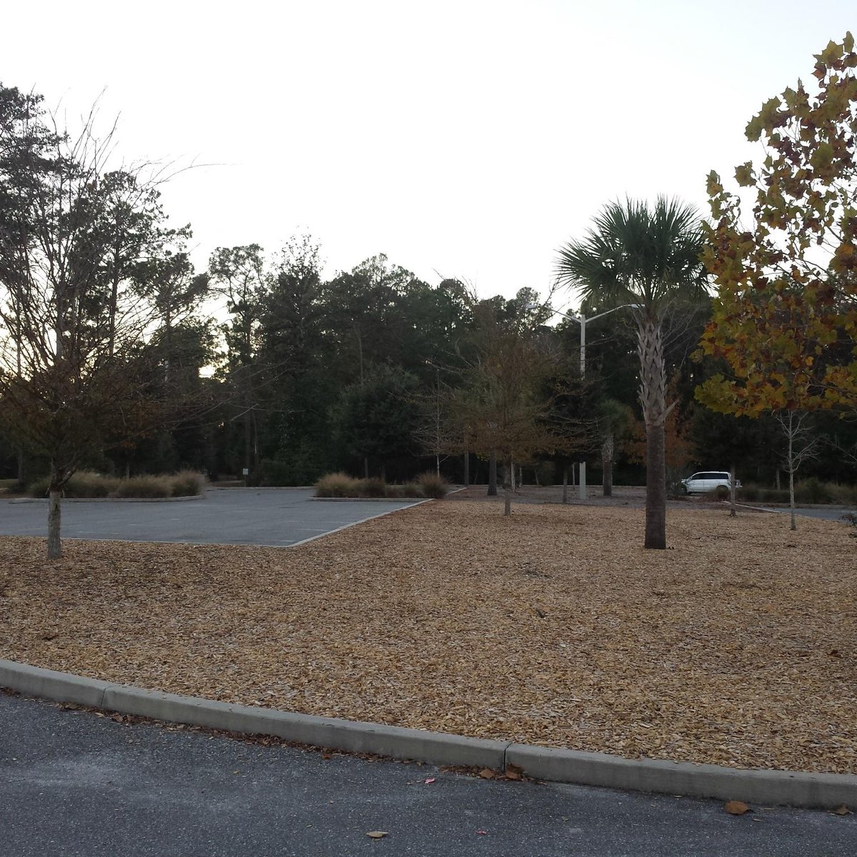 MOCCASIN SLOUGH PARK (Fleming Island) 2023 Qué saber antes de ir Lo más comentado por la