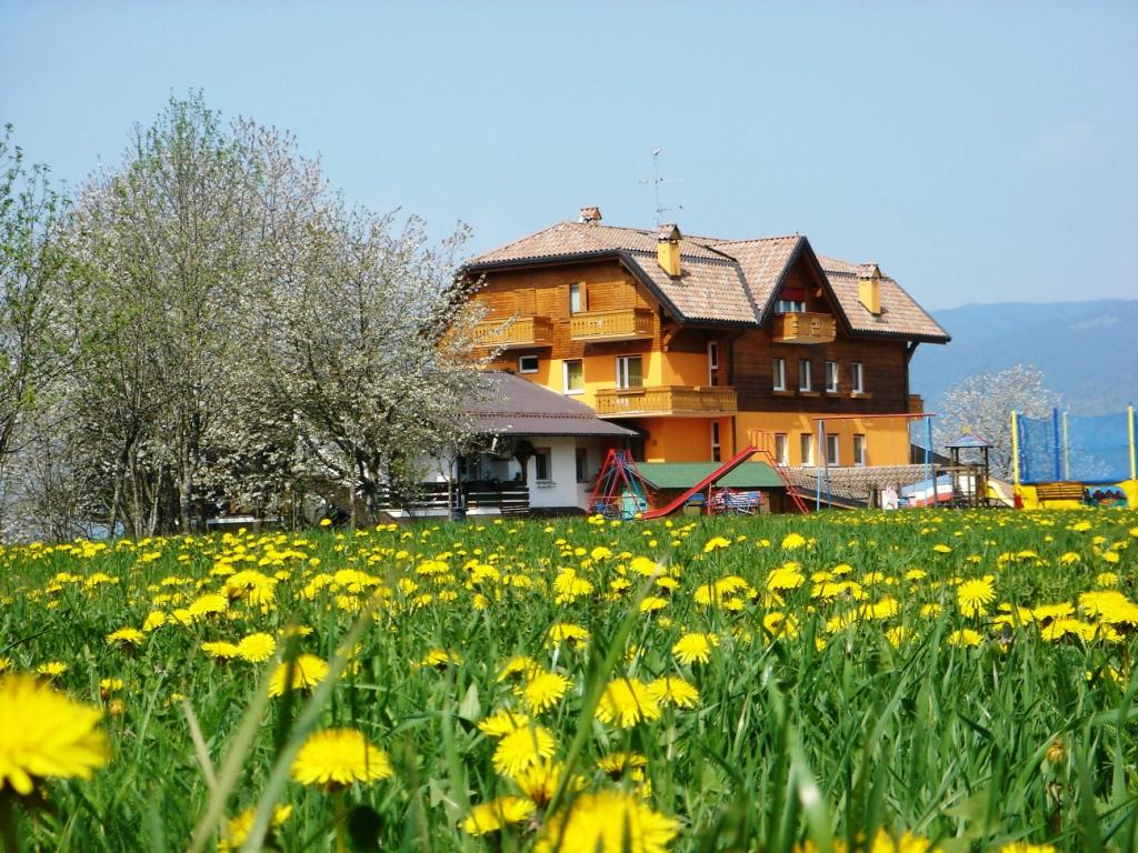 HOTEL DA BARBA B B Updated 2024 Prices Reviews Asiago Italy