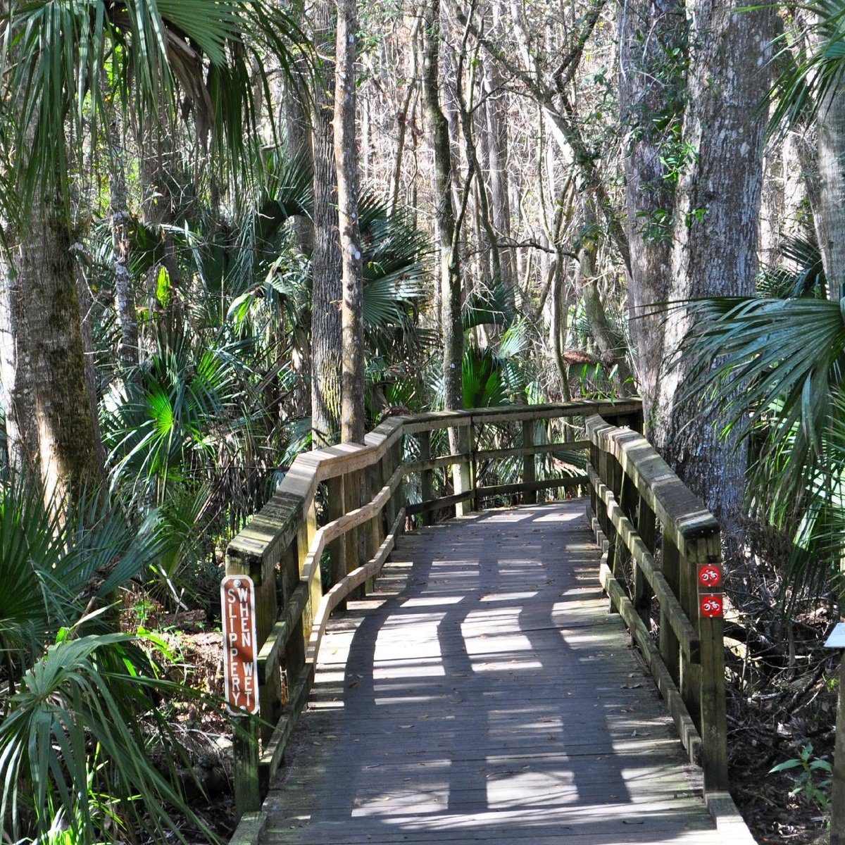 HIGHLANDS HAMMOCK STATE PARK (Sebring) - All You Need to Know BEFORE You Go