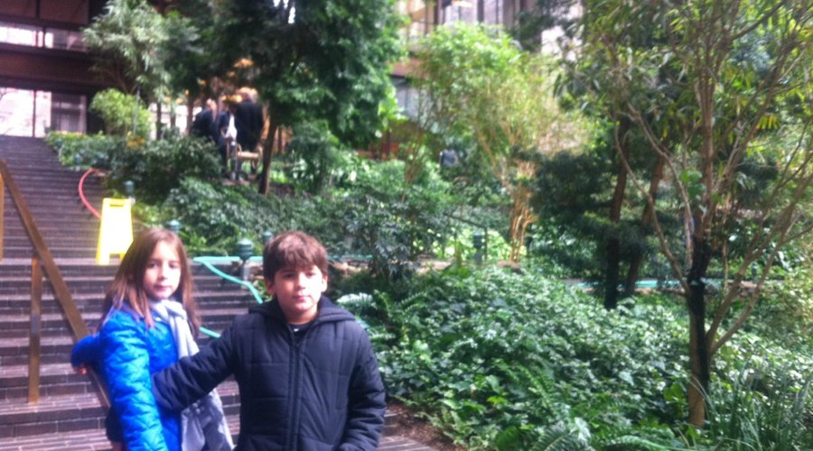 Jardim