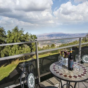 Landscape fromSuperior Room with Balcony