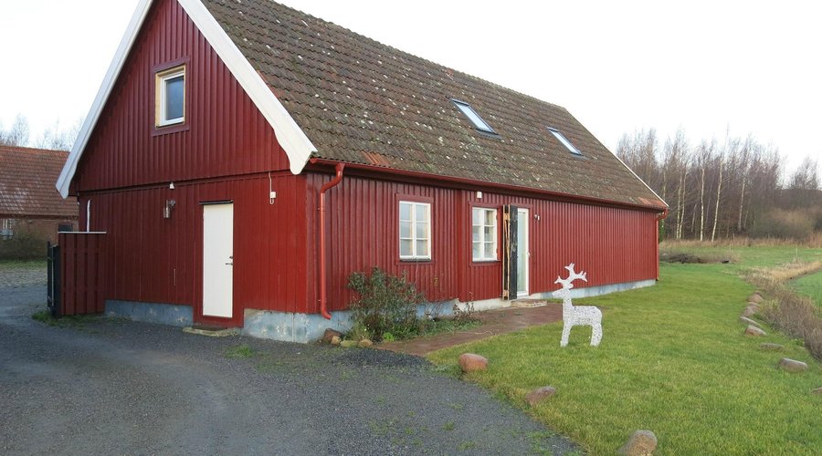 red bird farm