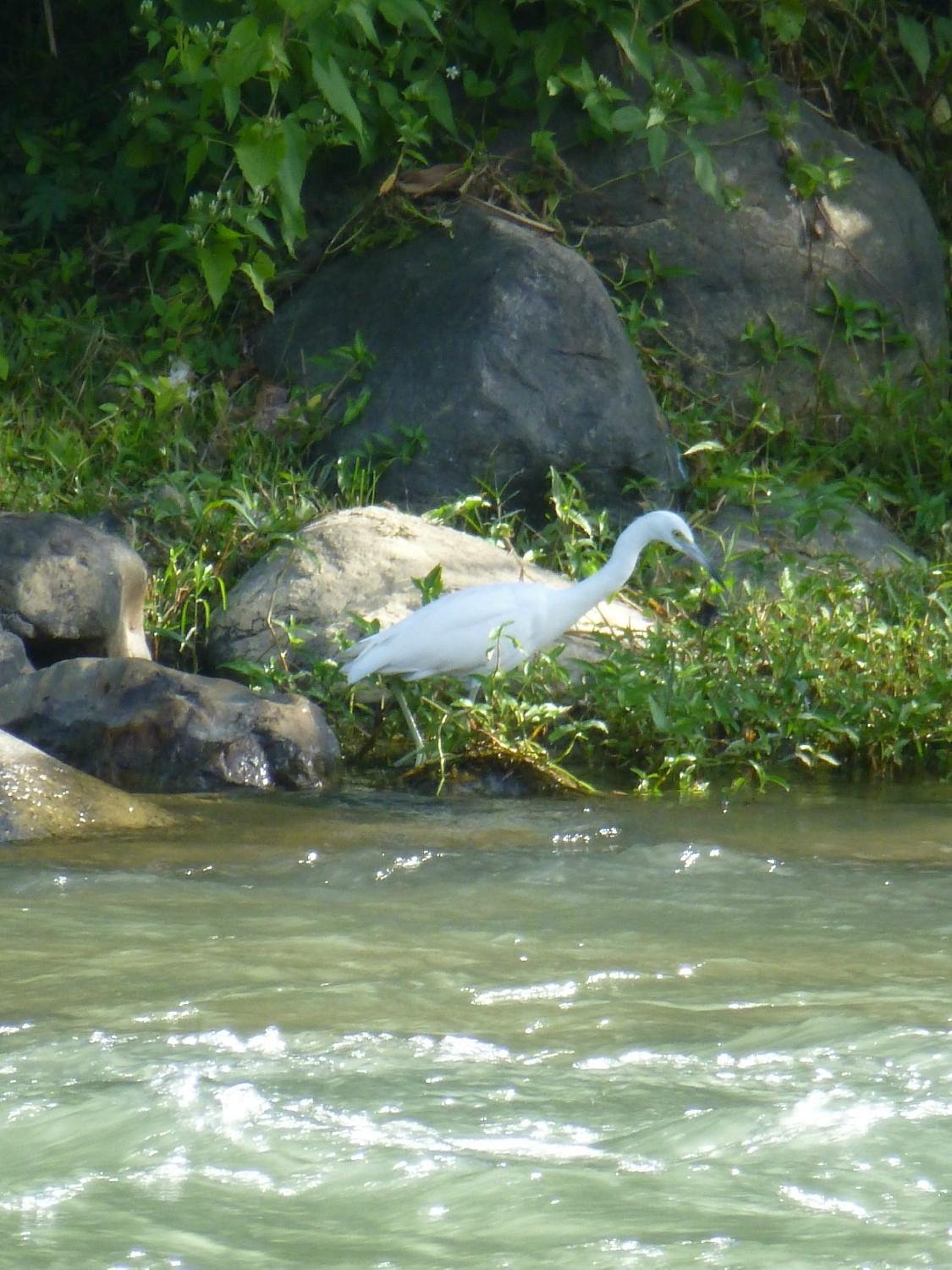 La Confluencia Jarabacoa All You Need To Know Before You Go