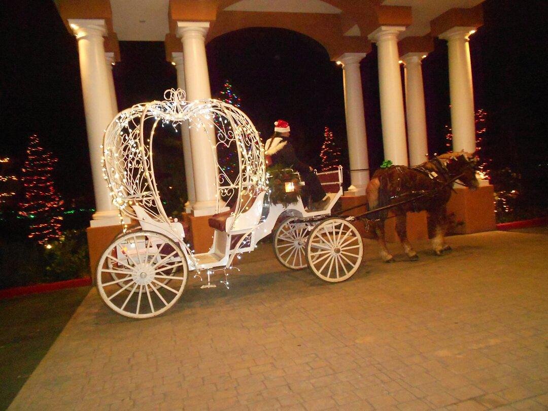 Horse-Drawn Carriage Rides  Temecula, CA - Temecula Carriage Company