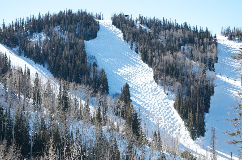 JACK FROST MOUNTAIN RESORT (Blakeslee) Qué SABER antes de ir