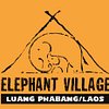 Elephant V
