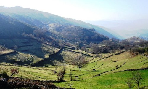 Vista panorâmica