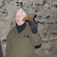 Historien om den langøret flagermus