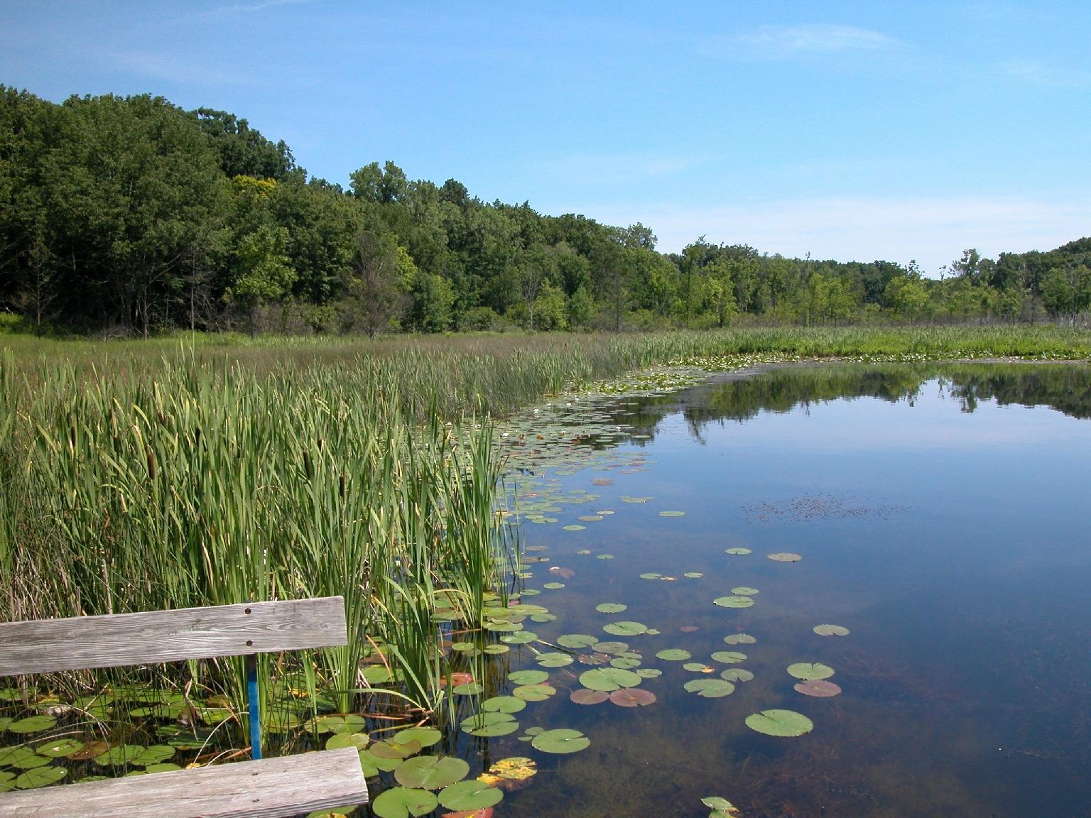 Pokagon state 2024 park hiking