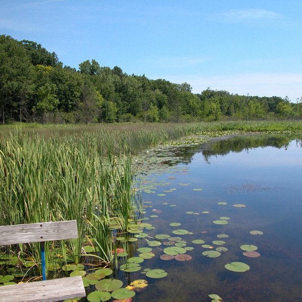 POKAGON STATE PARK NATURE CENTER (Angola): Ce qu'il faut savoir pour ...