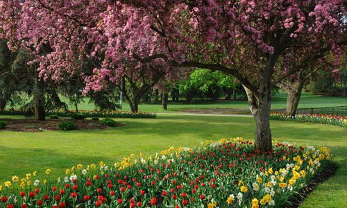 Southside Park
