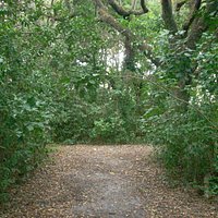 Nature Trail