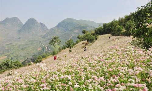 Dong Van Karst Plateau