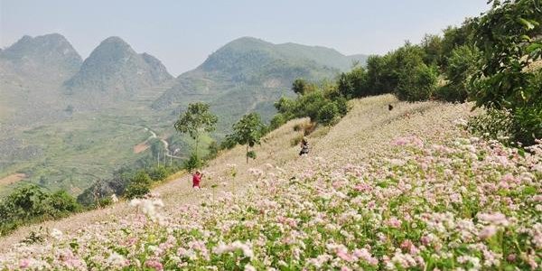 Dong Van Karst Plateau