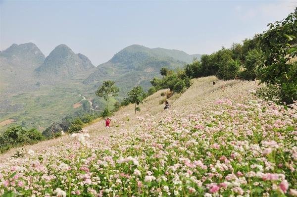 Image Xuân Bắc image beautiful image beautiful image beautiful image beautiful image beautiful image beautiful image beautiful image beautiful image beautiful image beautiful - Ha Giang, Vietnam: All You Must Know Before You Go (2025 ...