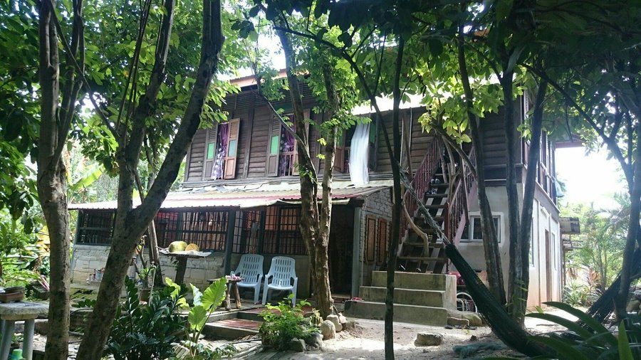 Butterfly guesthouse c