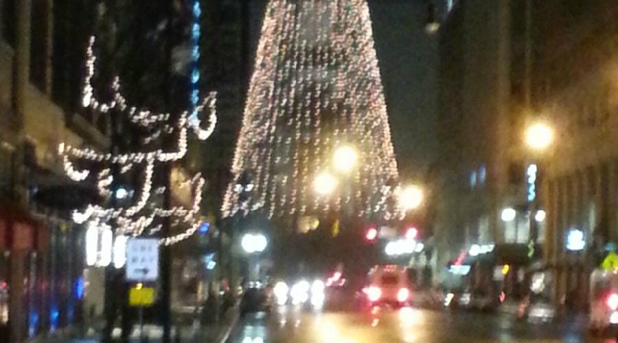 the tree