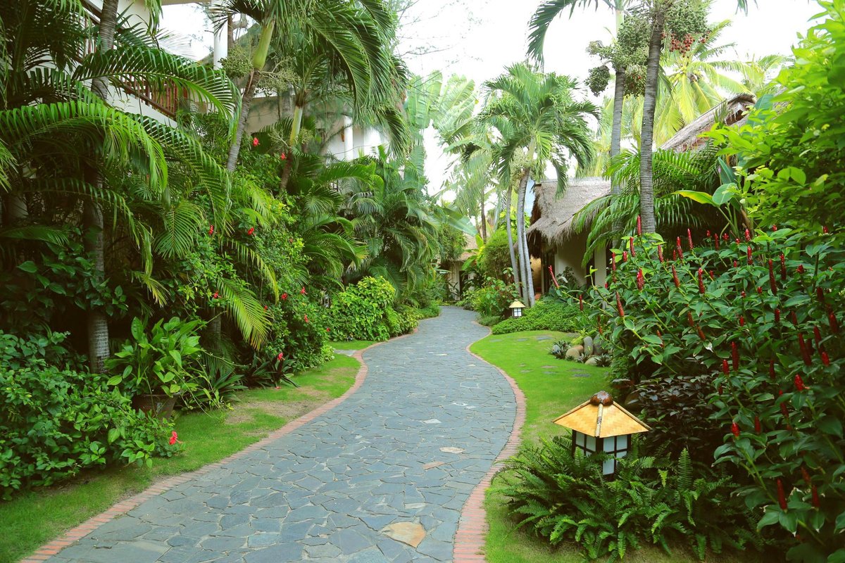 Village path