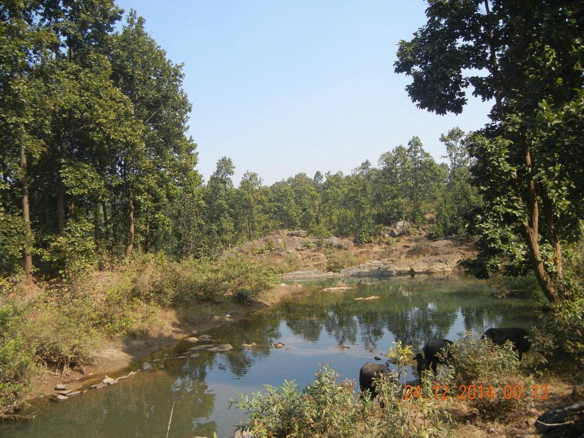 THE 15 BEST Things to Do in Ranchi - 2022 (with Photos) - Tripadvisor