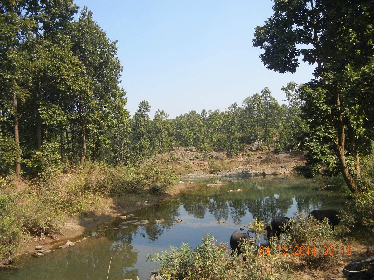 THE 15 BEST Things to Do in Ranchi - 2022 (with Photos) - Tripadvisor