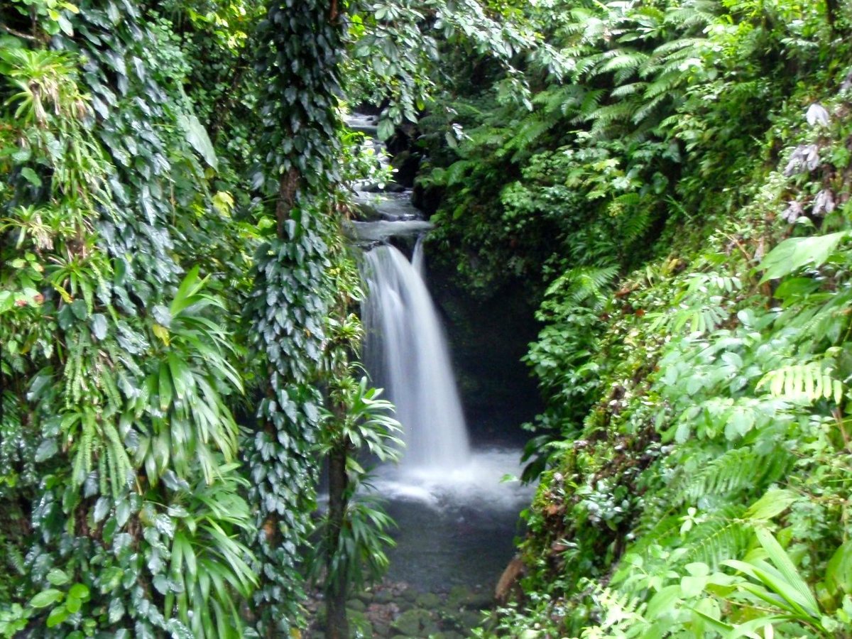 Eco Tour River Tubing Hibiscus Falls (Roseau) - All You Need to Know ...