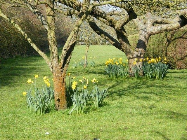 THE CHESTNUTS B&B (Terrington St John, Inglaterra): Opiniones ...