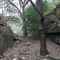 View near the creek of large rocks