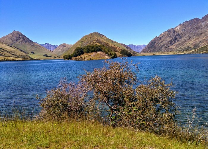 Moke Lake - All You Need to Know BEFORE You Go (with Photos)