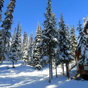 high camp