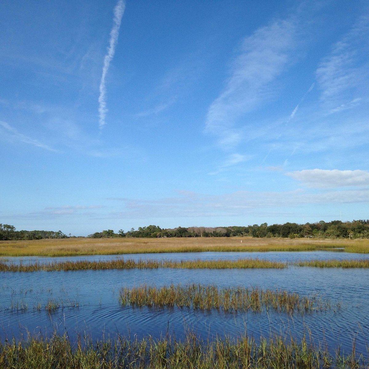 Dutton Island Preserve (Atlantic Beach) - All You Need to Know BEFORE ...