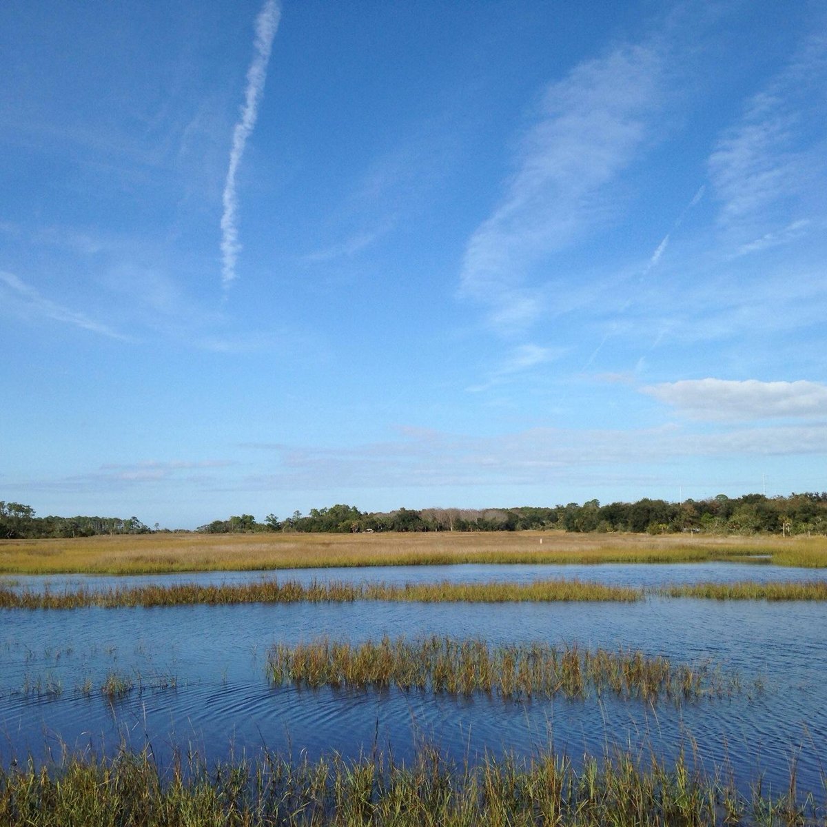 Dutton Island Preserve - All You Need to Know BEFORE You Go (2024)