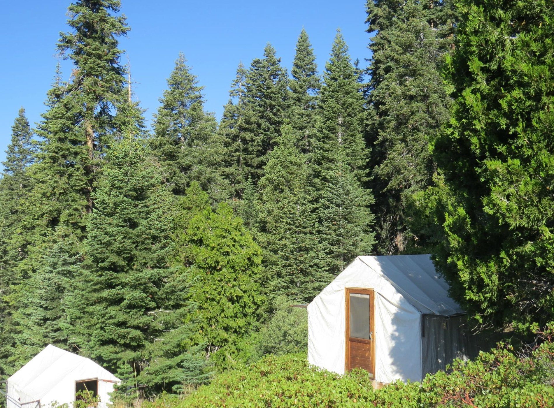 Bearpaw High Sierra Camp by null