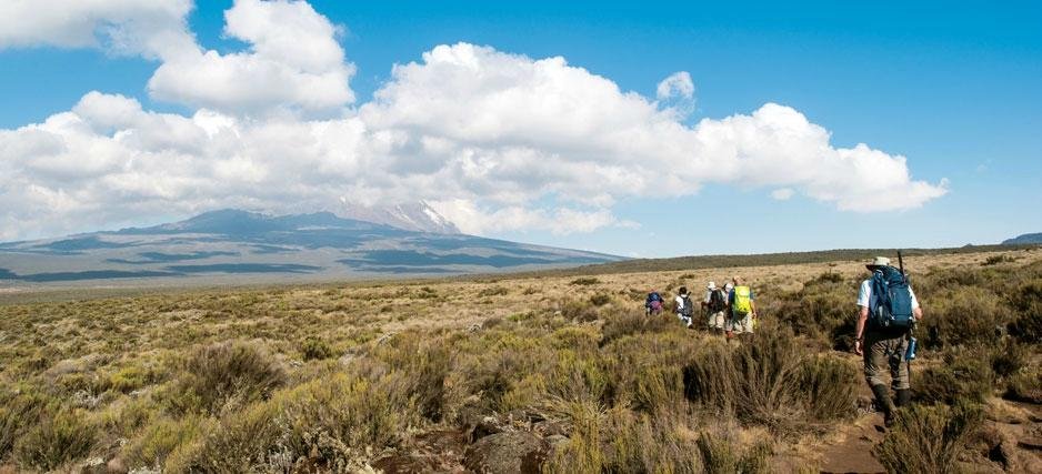 Taste of Kilimanjaro Adventures (Moshi) - All You Need to Know BEFORE ...