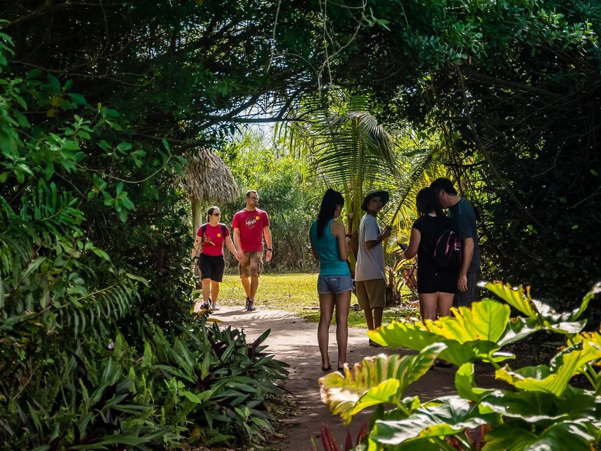 Everglades Safari Park (Miami) All You Need to Know BEFORE You Go